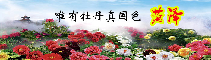 青龙山第七届冬泳节暨世界防溺水联盟活动